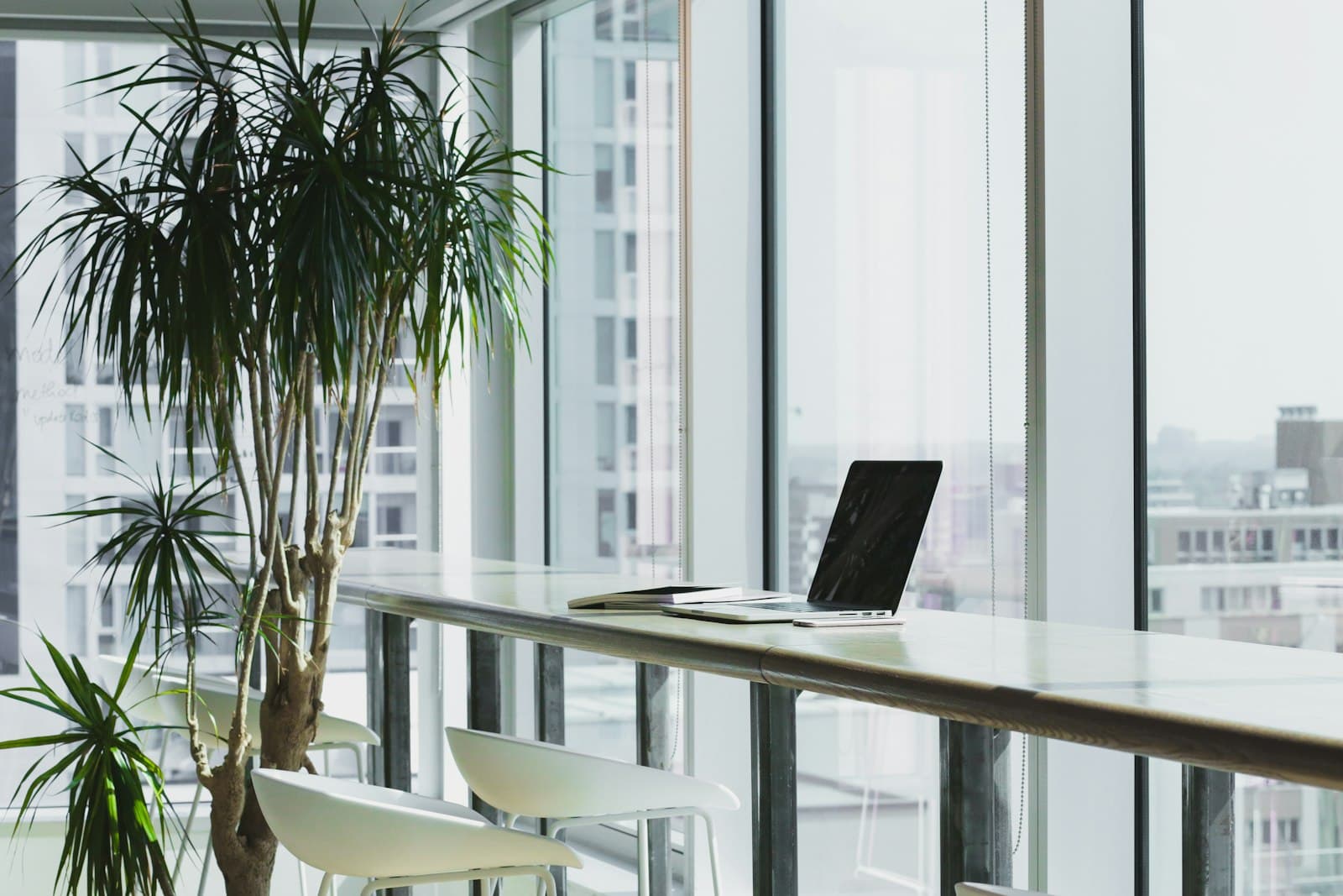 A bright SocialHub office desk by the window